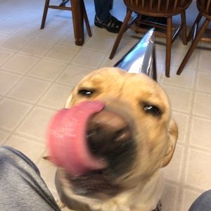 Meet your Posher, Colby